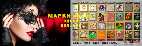 гидропоника Беломорск